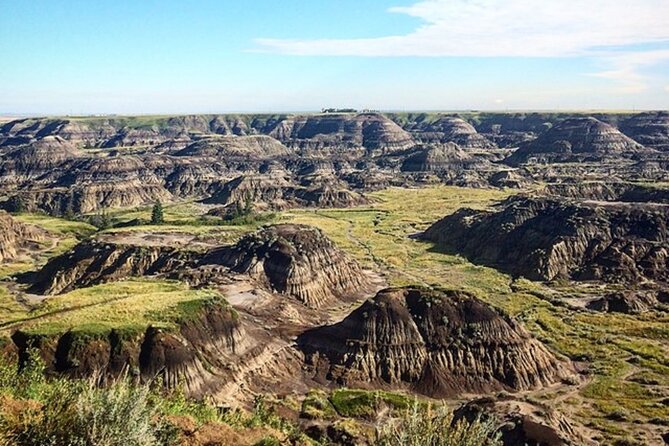 Drumheller Dinosaur Valley & Horseshoe Canyon Adventure Day Tour - The hoodoos: striking shapes, limited walking time
