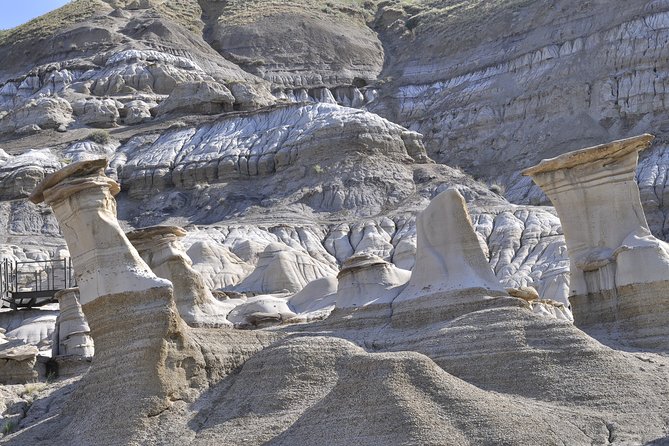 Drumheller Dinosaur Valley & Horseshoe Canyon Adventure Day Tour - Drumheller’s giant dinosaur and visitor centre