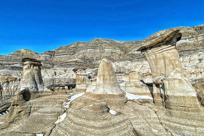 Drumheller Dinosaur Valley & Horseshoe Canyon Adventure Day Tour - The long ride, group size, and guide service