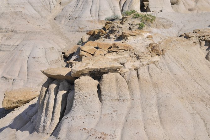 Drumheller Dinosaur Valley & Horseshoe Canyon Adventure Day Tour - Royal Tyrrell Museum: the reason many people book