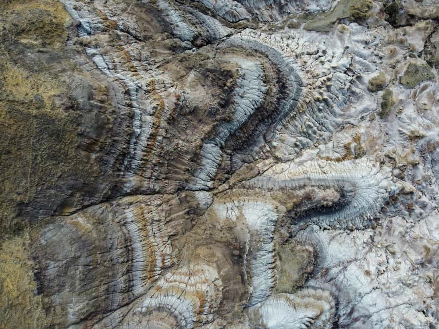Drumheller: Dinosaurs, Canyons, & Hoodoos Day Tour - CrossIron Mills changes the tone of the day