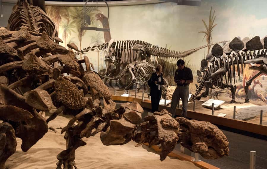 Drumheller: Dinosaurs, Canyons, & Hoodoos Day Tour - The guide can shape the experience