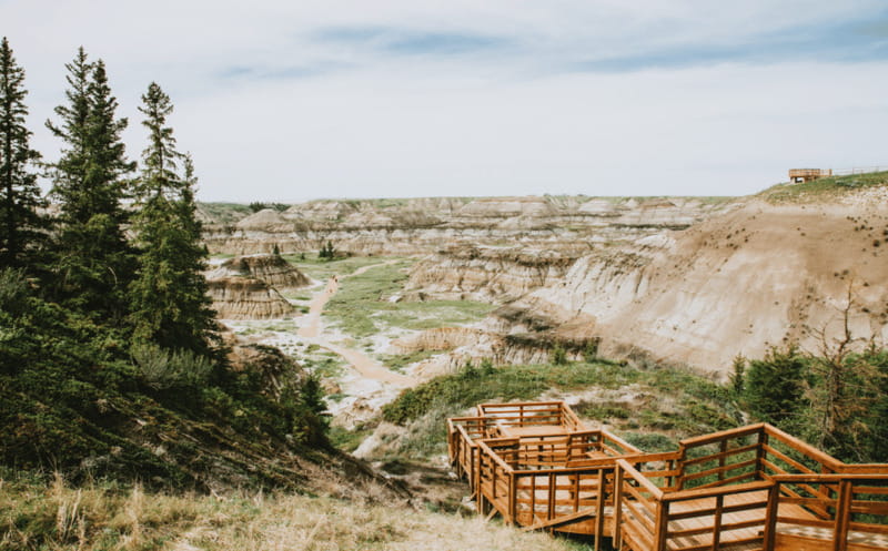 Drumheller: Dinosaurs, Canyons, & Hoodoos Day Tour - Who will get the most from this tour