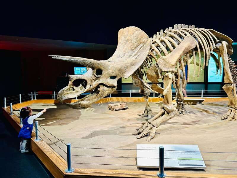 Drumheller Full-day Private Sightseeing Tour - Why Drumheller makes a strong day trip from Calgary