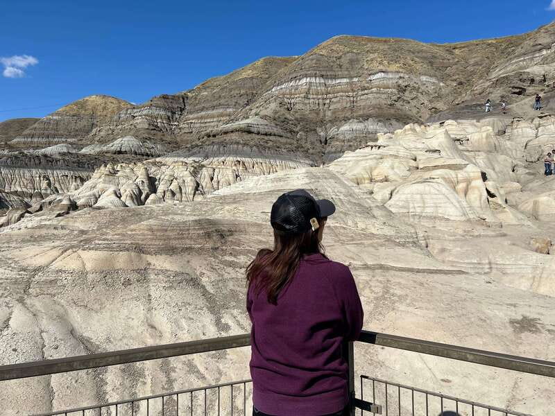 Drumheller Full-day Private Sightseeing Tour - Starting in Calgary with a private van