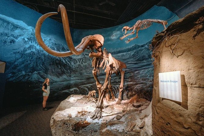 Drumheller: Royal Tyrrell Museum, Hoodoos and Horseshoe Canyon - Why Drumheller Makes a Strong Day Trip from Calgary