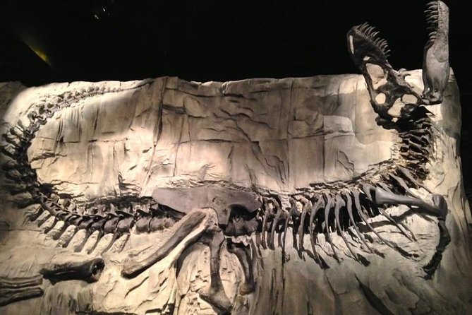 Drumheller: Royal Tyrrell Museum, Hoodoos and Horseshoe Canyon - What the $118.98 Price Really Covers
