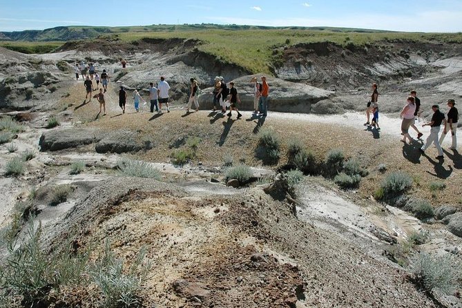 Drumheller: Royal Tyrrell Museum, Hoodoos and Horseshoe Canyon - Who Will Enjoy This Tour Most?