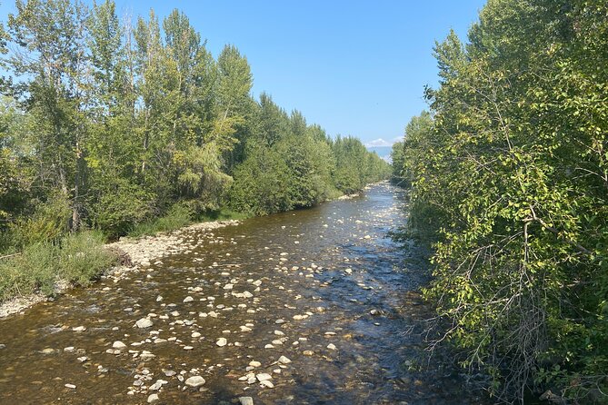 E-Bike Salmon Adventure - Starting at Lakeside Eco-Sports on Bernard Avenue
