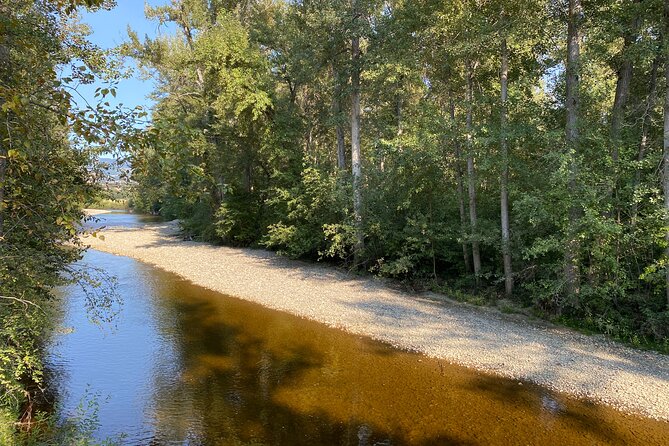 E-Bike Salmon Adventure - Booking, weather, and timing details
