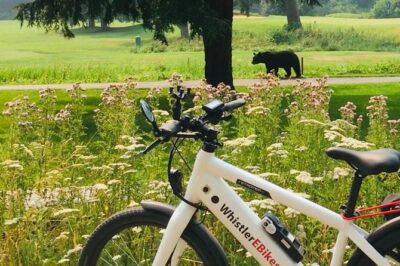 eBike Adventure in Whistler