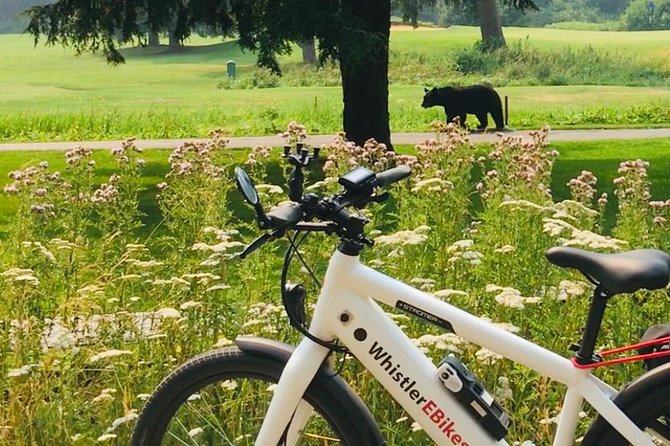 eBike Adventure in Whistler - Key points to know before you book