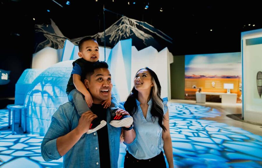 Edmonton: TELUS World of Science General Admission Ticket - Start with the Zeidler Dome and S.P.A.C.E. Gallery
