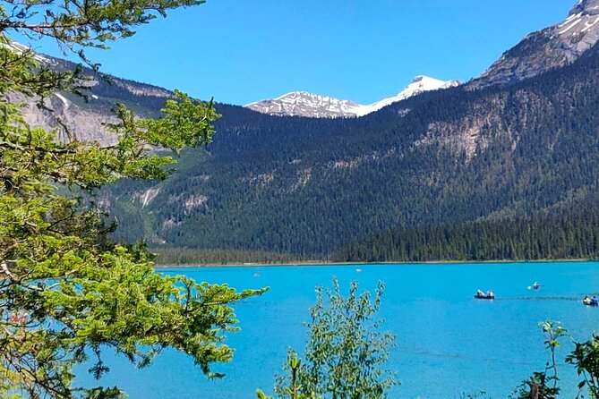 Emerald Lake Lake Louise Moraine Lake Half Day Tour - Lake Louise: 75 minutes beside the famous green water
