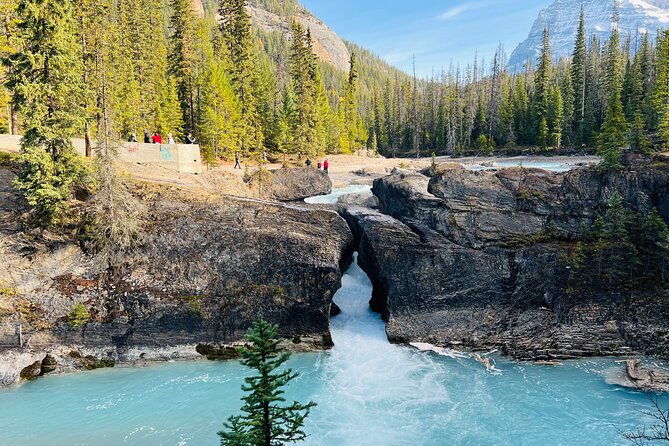 Emerald Lake,Natural Bridge, Wapta Falls & Takakkaw Falls in Yoho - Key points at a glance
