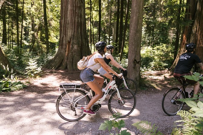 Epic Electric Bike Tour by Cycle City Tours - False Creek, marinas, and Yaletown