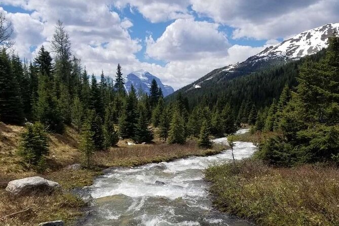 Exclusive Skoki Backcountry Guided Hiking in Lake Louise with Van Shuttle - What the guide adds to the walk