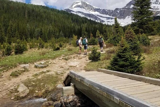 Exclusive Skoki Backcountry Guided Hiking in Lake Louise with Van Shuttle - Lunch and the small comforts on the trail