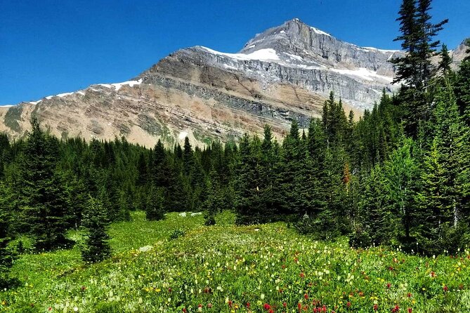 Exclusive Skoki Backcountry Guided Hiking in Lake Louise with Van Shuttle - Is $154.42 a fair price?