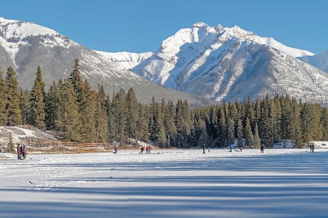 Explore Banff + Wildlife - Mount Norquay Lookout and the wildlife watch