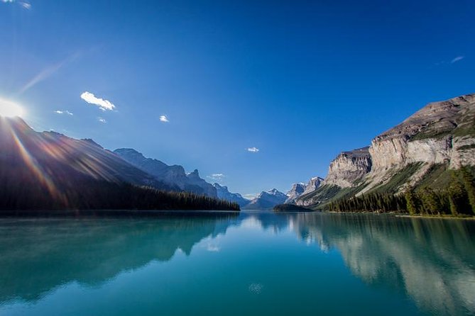 Explore Jasper Tour - Wildlife watching is a bonus, not the schedule