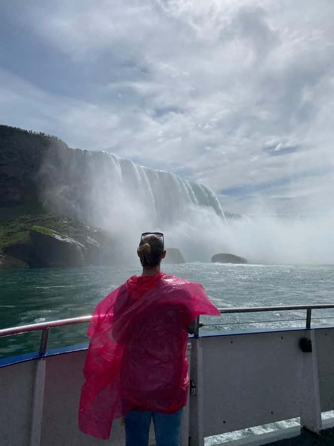Falls Small Group Tour w/ Tower, Journey & Boat - From TO - Key points at a glance