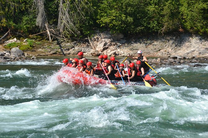 Family Friendly Whitewater Rafting - Safety training before the paddle begins