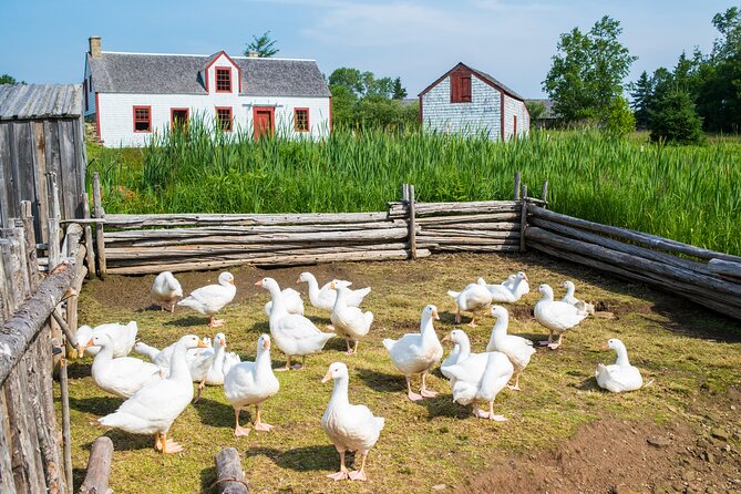 Family visit to the Acadian Historic Village - Choose a day between June 4 and September 12, 2026