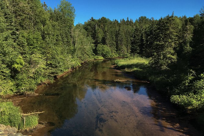 Fly Fishing Guided Experiences - Meeting Craig in Morell and following the river