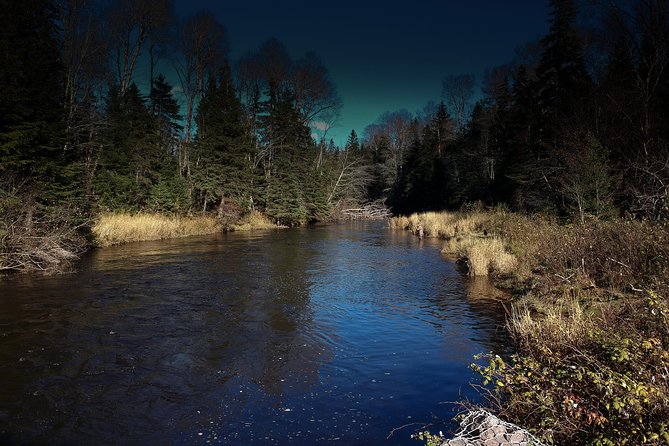Fly Fishing Guided Experiences - What the four-hour itinerary feels like