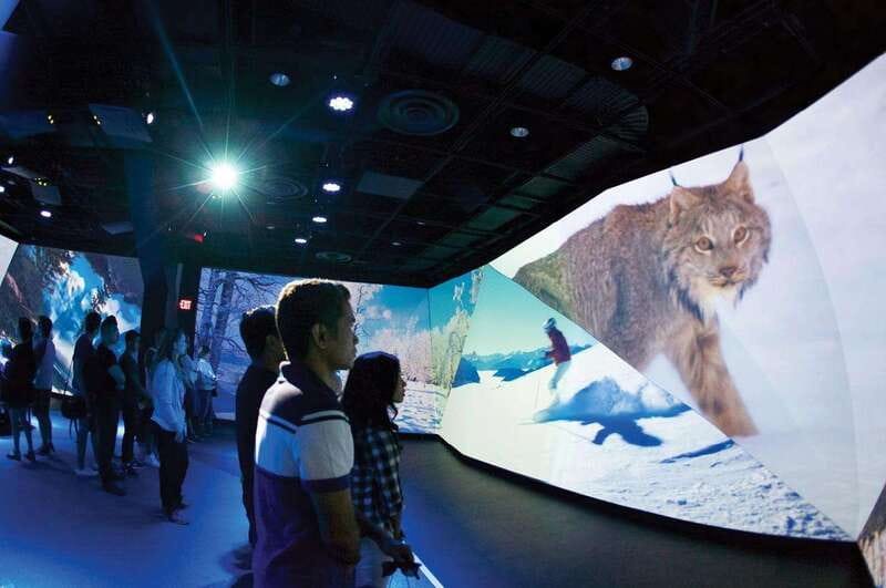 Flyover in Vancouver: An Immersive Flying Theatre Experience - The 20-metre screen and the feeling of flight