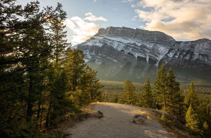 From Banff: Banff Wildlife & Scenic Highlights Premium Tour - Why the dusk departure works so well