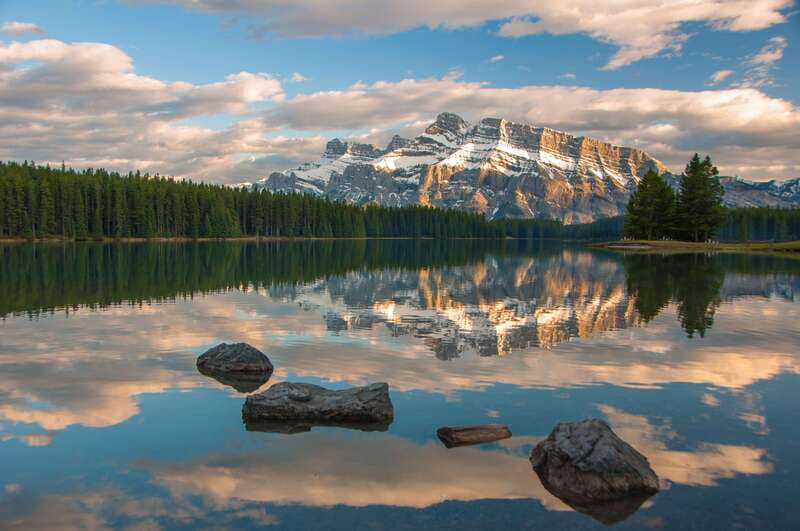 From Banff: Banff Wildlife & Scenic Highlights Premium Tour - Guides make the difference