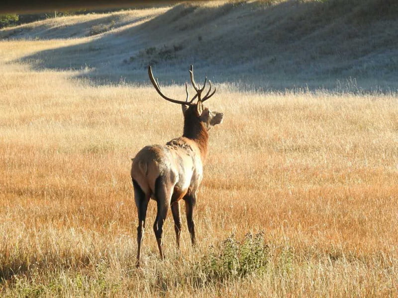 From Banff/Canmore: Deep 1 Day Tour in Banff National Park - Johnston Canyon gives you the day’s best walk