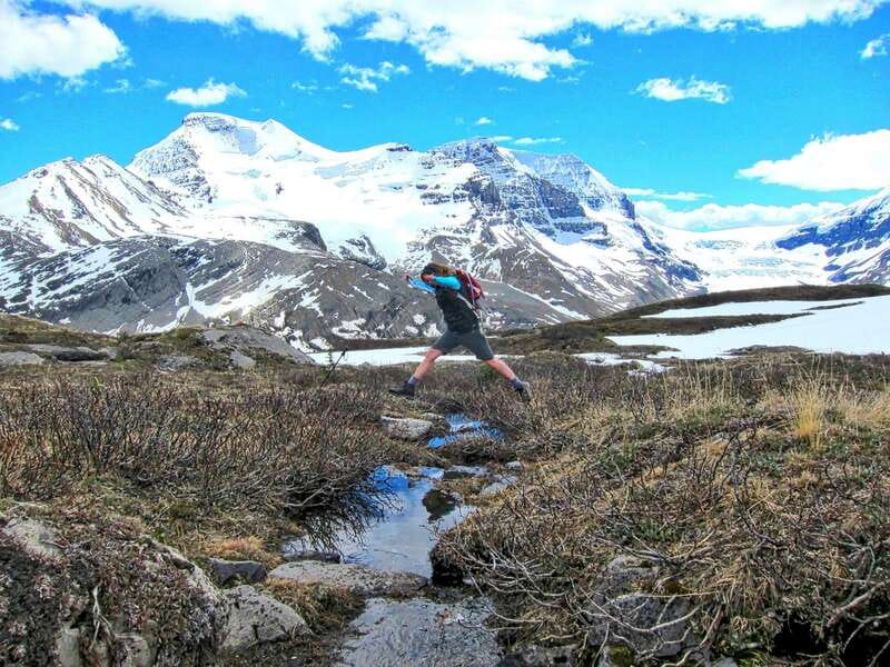 From Banff/Lake Louise: 1-Way Sightseeing Tour to Jasper - Wildlife watching requires patience