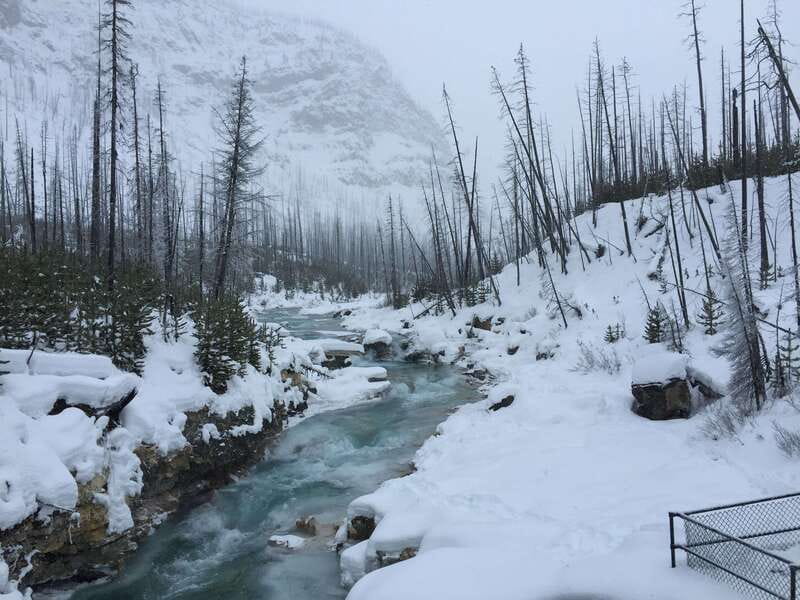 From Banff: Marble & Johnston Canyon Icewalk Combo - Booking details that can affect your plans