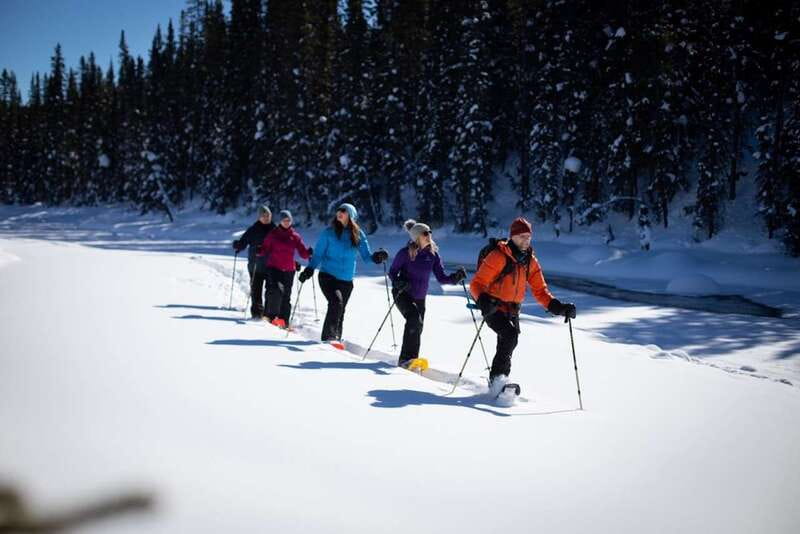 From Banff: Winter Wonderland; Lake Louise & Johnston Canyon - Transport, group size, and comfort