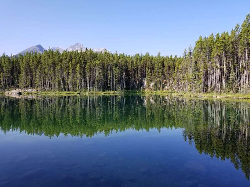 From Calgary/Banff: Columbia Icefield Glacier Full-Day Trip - The guide can shape the whole day