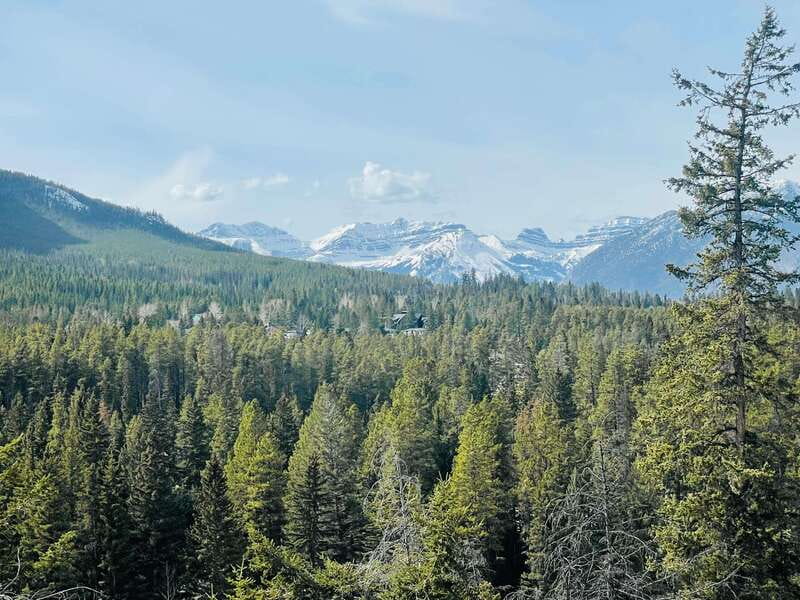 From Calgary: Banff, Moraine Lake and Lake Louise Tour - Bow Falls offers an easy scenic stop