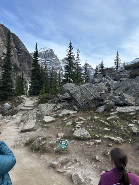 From Calgary/Banff: Moraine Lake & Lake Louise Half-Day Tour - Transport, timing, and comfort