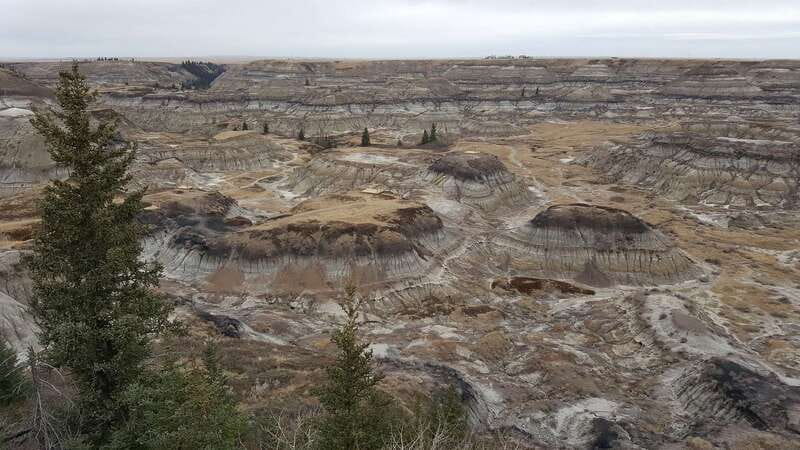 From Calgary: Canadian Badlands Private Geological Tour - What a private van changes