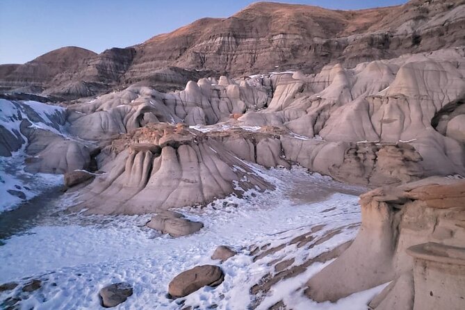 From Calgary: Drumheller Badlands Private Tour (Small Group) - The World’s Largest Dinosaur is cheerful and quick