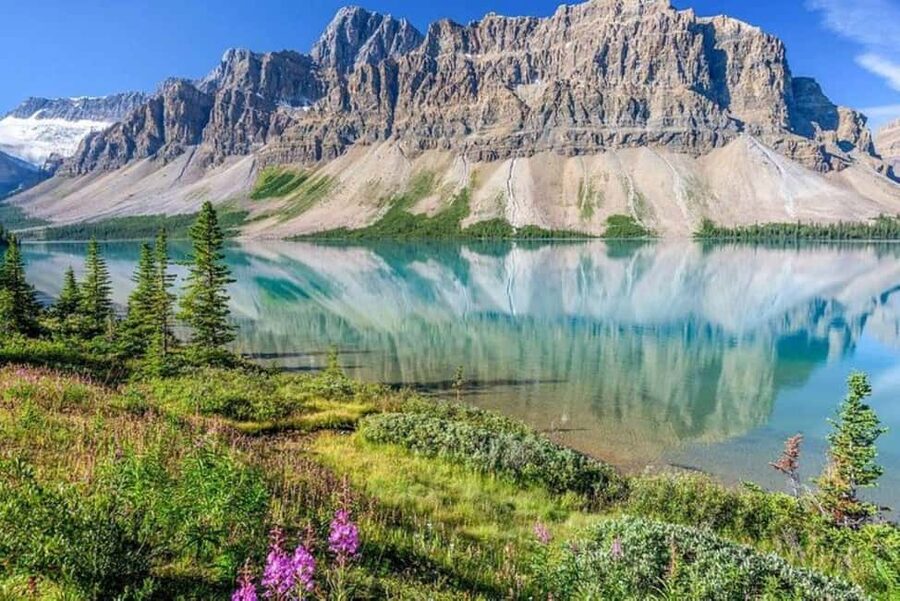 From Calgary: Explore 4 Stunning Lakes in Banff & Yoho - Peyto Lake: the high viewpoint