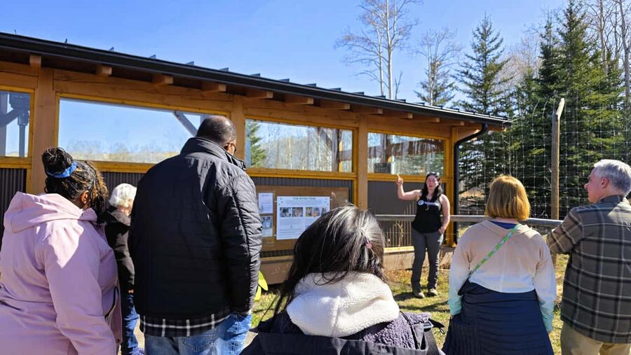 From Calgary to Banff: Day Trip with Wolfdog Sanctuary Visit - Lake Minnewanka and Two Jack Lake