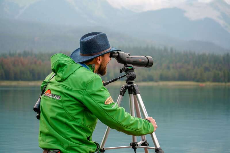 From Jasper: Jasper National Park Wildlife Discovery Tour - What this Jasper wildlife tour actually feels like