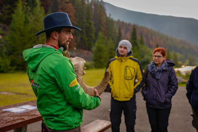 From Jasper: Jasper National Park Wildlife Discovery Tour - Leaving Jasper and settling into the search