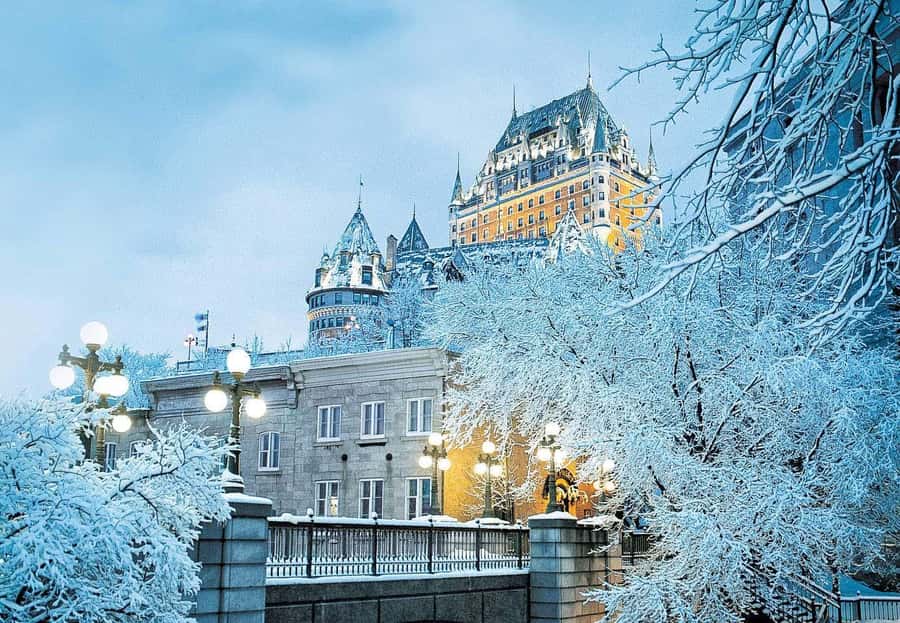 From Montreal: Full-Day Tour of Quebec City with Cruise - The St. Lawrence cruise from Quebec City
