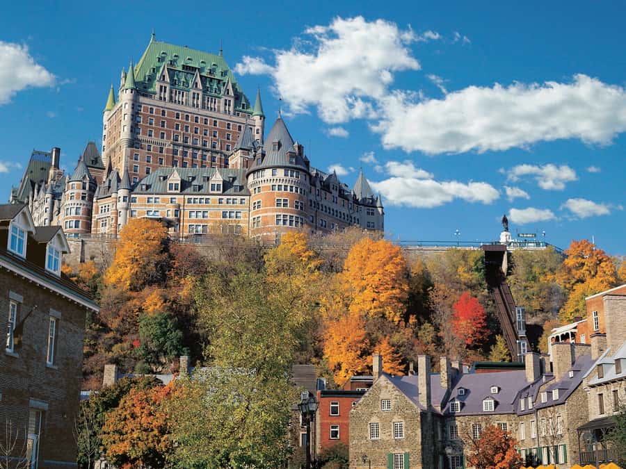 From Montreal: Full-Day Tour of Quebec City with Cruise - Guides, languages, and group rhythm