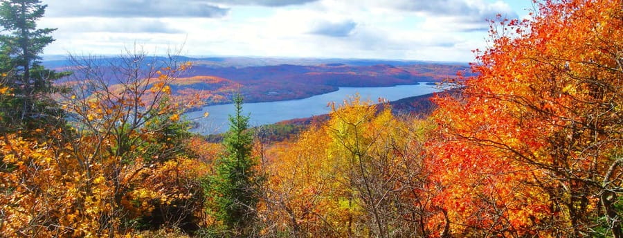 From Montréal: Mont-Tremblant 1-Day Tour - Who should book this Mont-Tremblant day trip