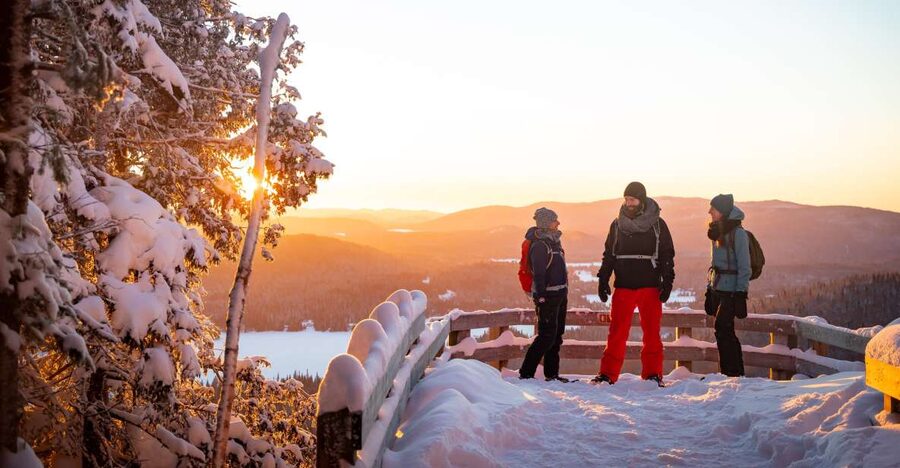 From Montreal: Mont-Tremblant National Park Hiking Day Trip - Key points to know before booking
